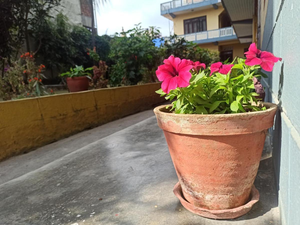 Pushpa Guest House Pokhara Exterior foto